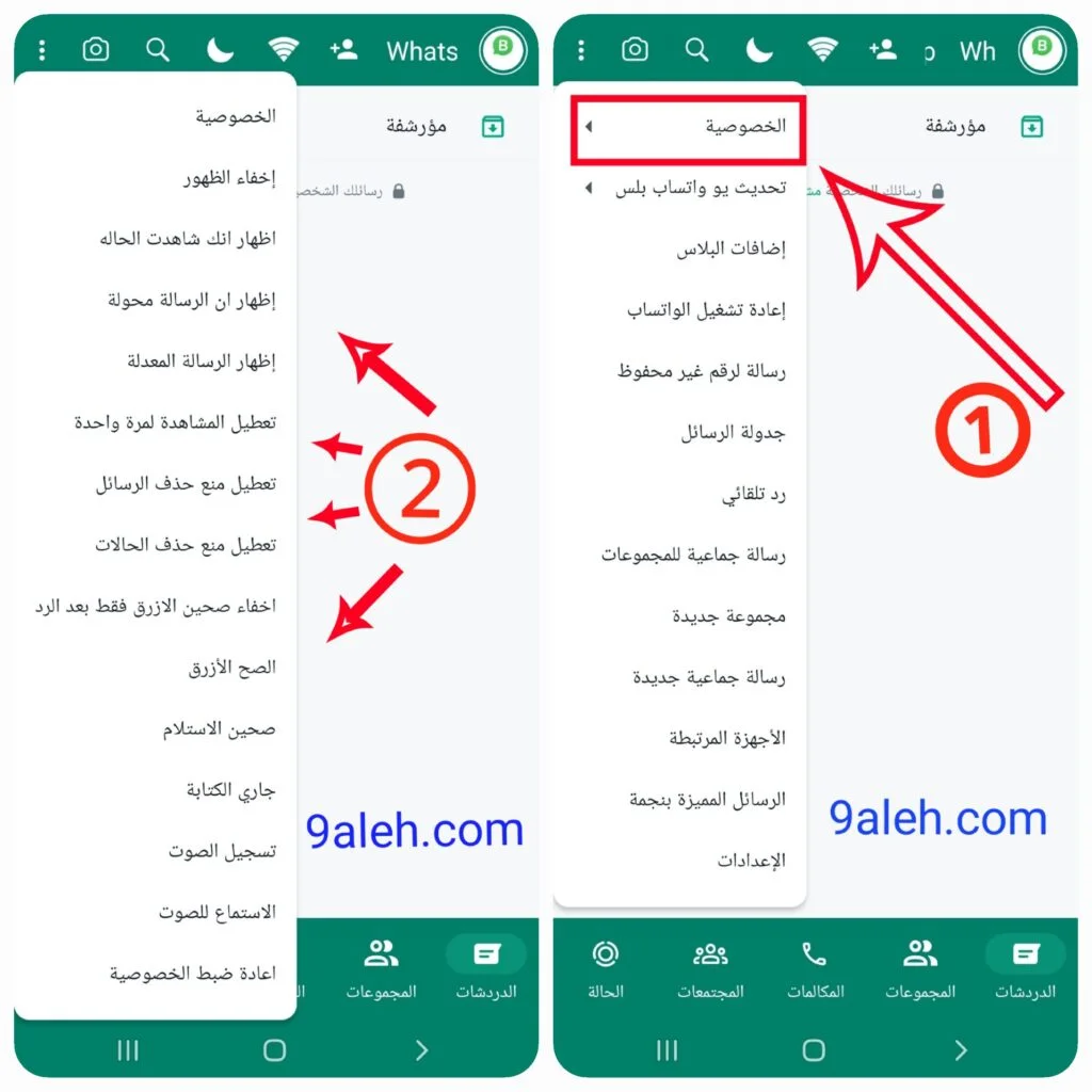 صورة لخيارات الخصوصية من تطبيق واتس اب بلس